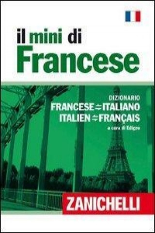 Il mini di francese. Dizionario francese-italiano, italiano-francese