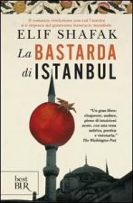 La bastarda di Instanbul