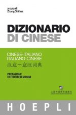 Dizionario di cinese. Cinese-italiano, italiano-cinese. Ediz. minore