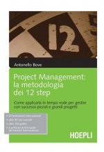 Project management. La metodologia dei 12 step. Come applicarla in tempo reale per gestire con successo piccoli e grandi progetti