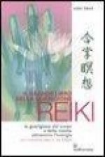 Il grande libro della guarigione reiki. La guarigione del corpo e della mente attraverso l'energia