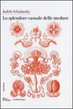 Lo splendore casuale delle meduse