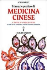 Manuale pratico di medicina cinese. Il potere dei cinque elementi. Qi gong, Tai Chi, agopuntura, feng shui nella cura del corpo e dell'anima