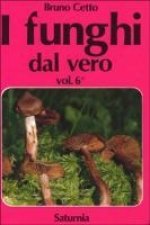 I funghi dal vero