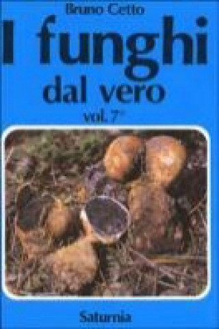 I funghi dal vero