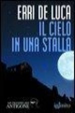 Il cielo in una stalla