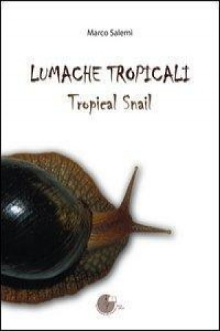 Lumache tropicali. Tropical snail