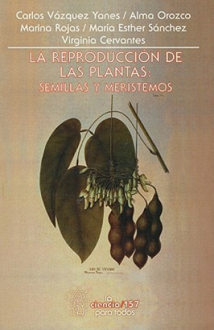La Reproduccion de las Plantas: Semillas y Meristemos