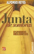 Junta de Sombras: Estudios Helenicos