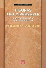 Figuras de lo pensable. Las encrucijadas del laberinto.