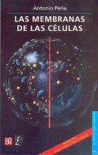 Las Membranas de las Celulas