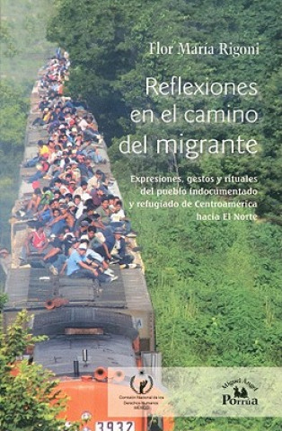 Reflexiones En El Camino del Migrante.