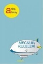 Mecnun Kuleleri