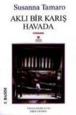 Akli Bir Karis Havada