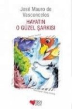 Hayatin O Güzel Sarkisi