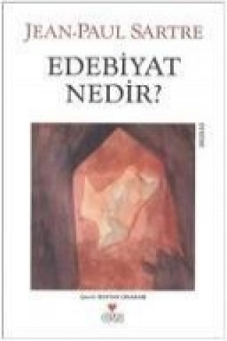 Edebiyat Nedir