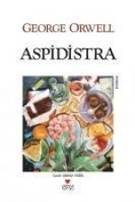 Aspidistra