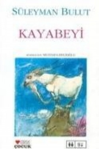 Kayabeyi