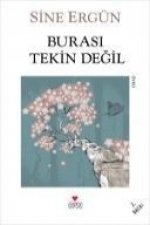 Burasi Tekin Degil