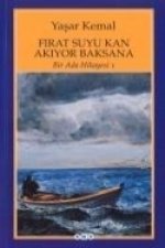 Kemal, Y: Deniz Küstü
