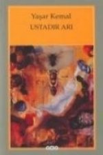 Ustadir Ari