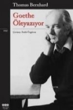 Goethe Öleyaziyor