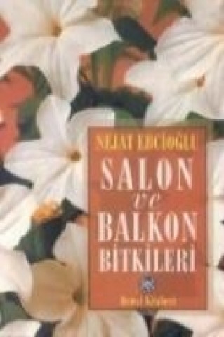 Salon Ve Balkon Bitkileri