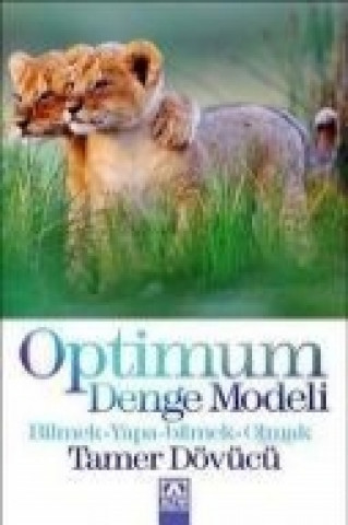 Optimum Denge Modeli