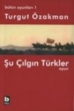 Su Cilgin Türkler