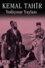 Yedicinar Yaylasi