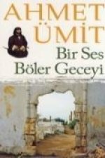 Bir Ses Böler Geceyi