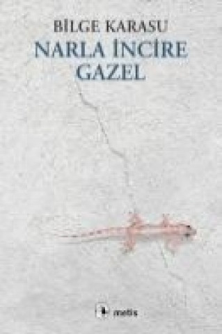 Narla Incire Gazel