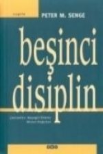 Besinci Disiplin