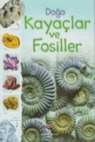 Doga Kayaclar ve Fosiller