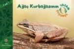 Agac Kurbagasinin Yasam Döngüsü