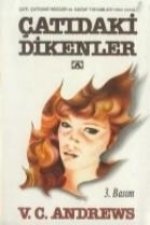 Catidaki Dikenler