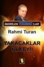 Indirilen Tokmaklar