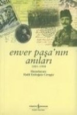 Enver Pasanin Anilari 1881-1908