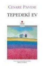 Tepedeki Ev