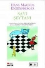 Sayi Seytani