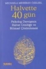 Halvette 40 Gün; Psikolog Bir Dervisenin Halvet Günlügü Ve Bilimsel Cözümlemesi