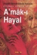 Amak-i Hayal