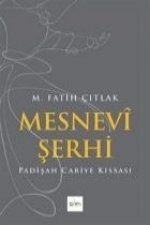 Mesnevi Serhi