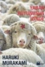 Yaban Koyunun Izinde