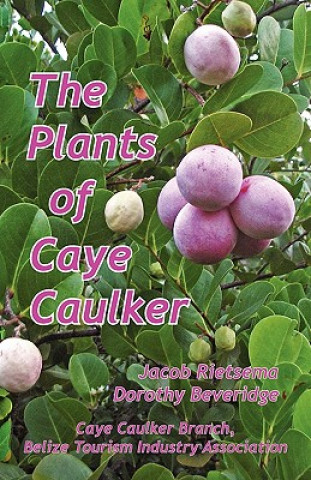 Plants of Caye Caulker