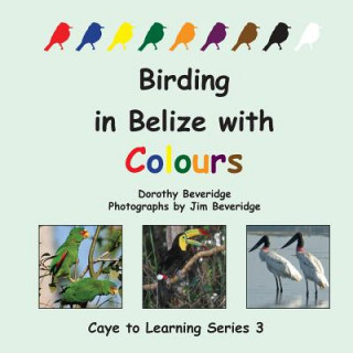 Birding in Belize with Colours