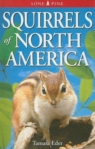 Squirrels of North America