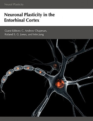 Neuronal Plasticity in the Entorhinal Cortex
