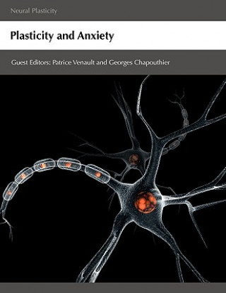 Plasticity and Anxiety