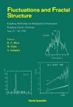 Fluctuations and Fractal Structure: Ringberg Workshop on Multiparticle Production, Ringberg Castle, Germany, June 25-28, 1991